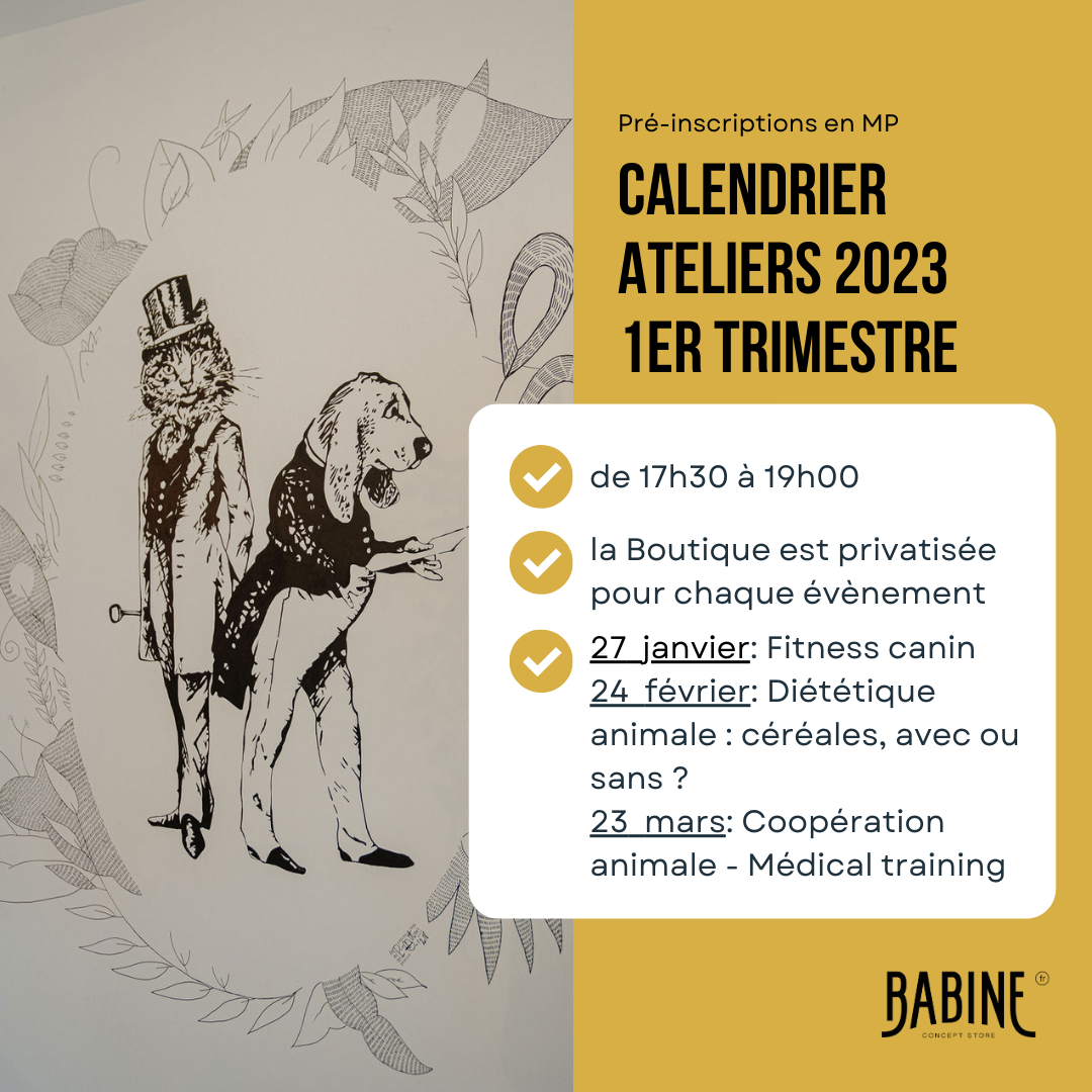 Calendrier des Ateliers - 1er Trimestre 2023