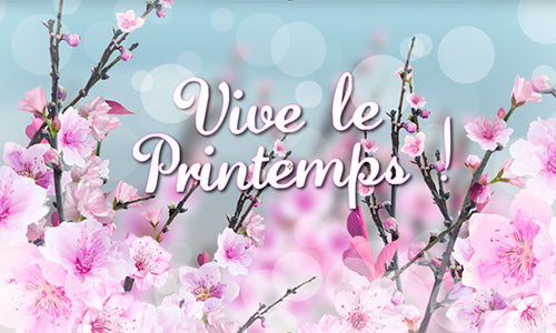 🌼 Le Printemps est là, et les chenilles 🐛 processionnaires sont déjà là !