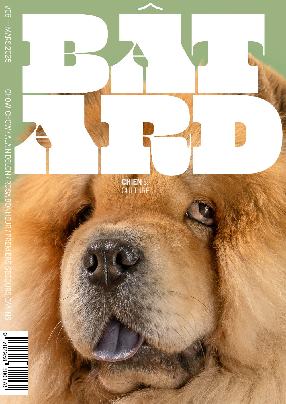 Revue Magazine trimestriel Bâtard