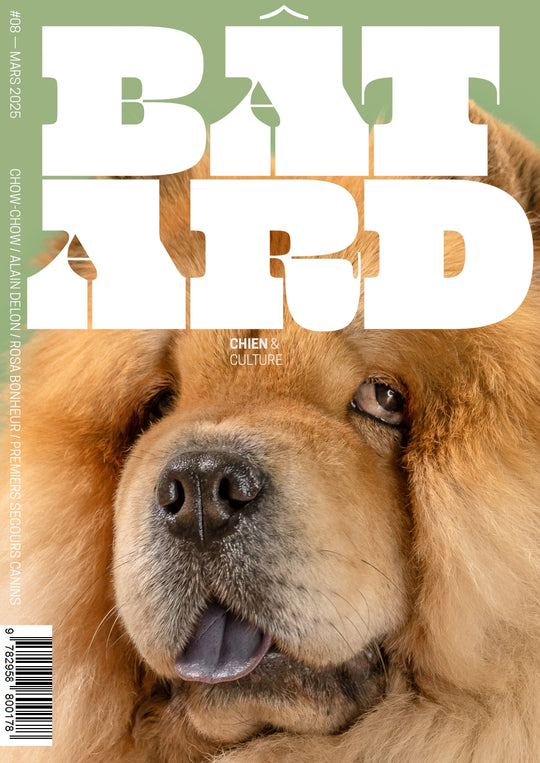 Revue Magazine trimestriel Bâtard