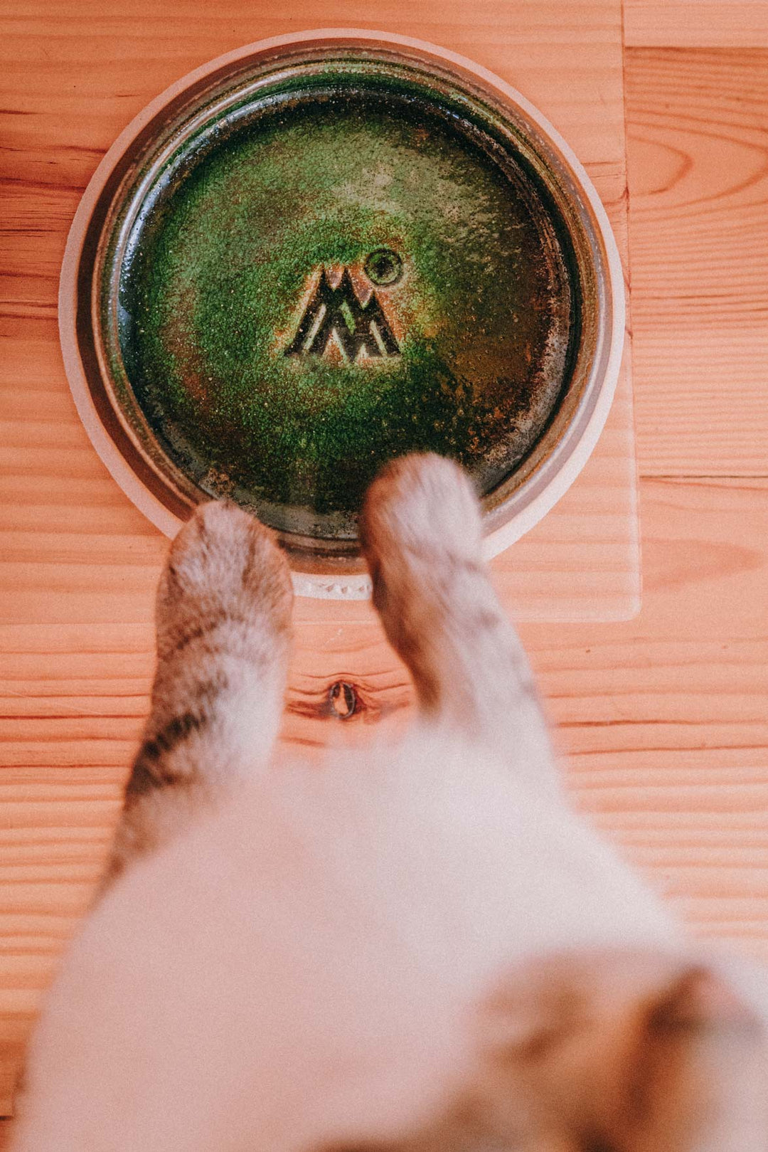 gamelle eman en ceramique artisanale pour chiens et chats taille s