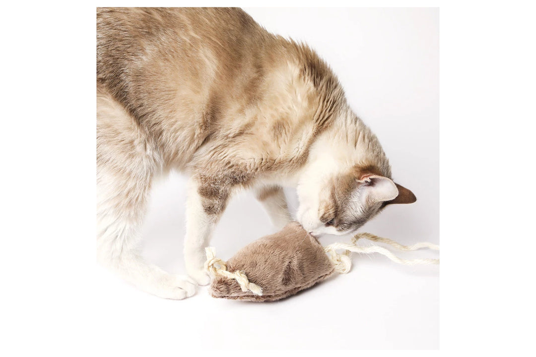 jouet pour chats à la valériane souris scarlett marron