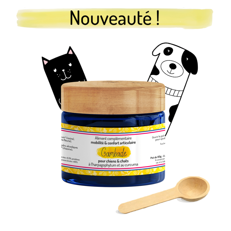 cure courte phyto chiens et chats gambade