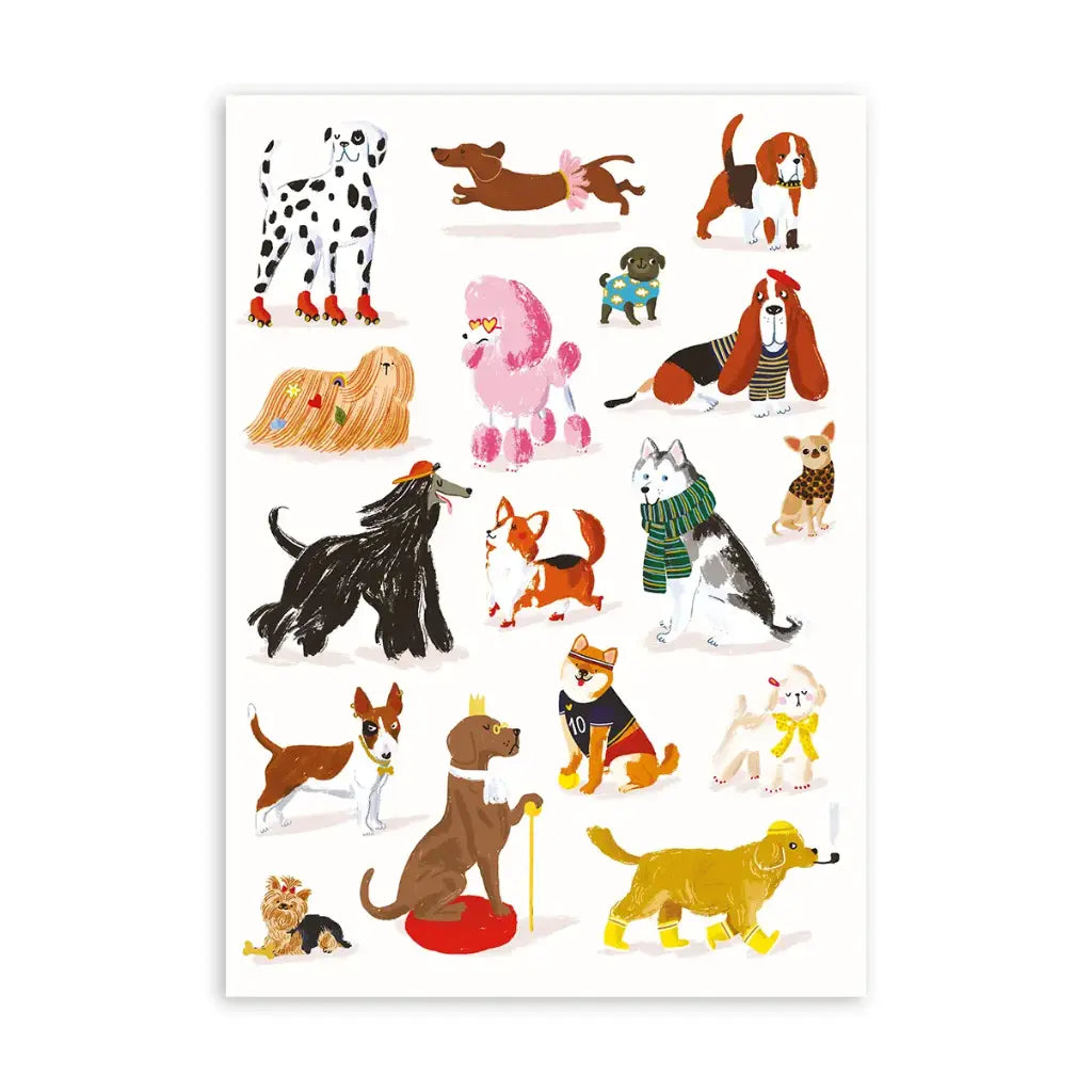 Cartes d'Art, l'éditeur français de bonne humeur !