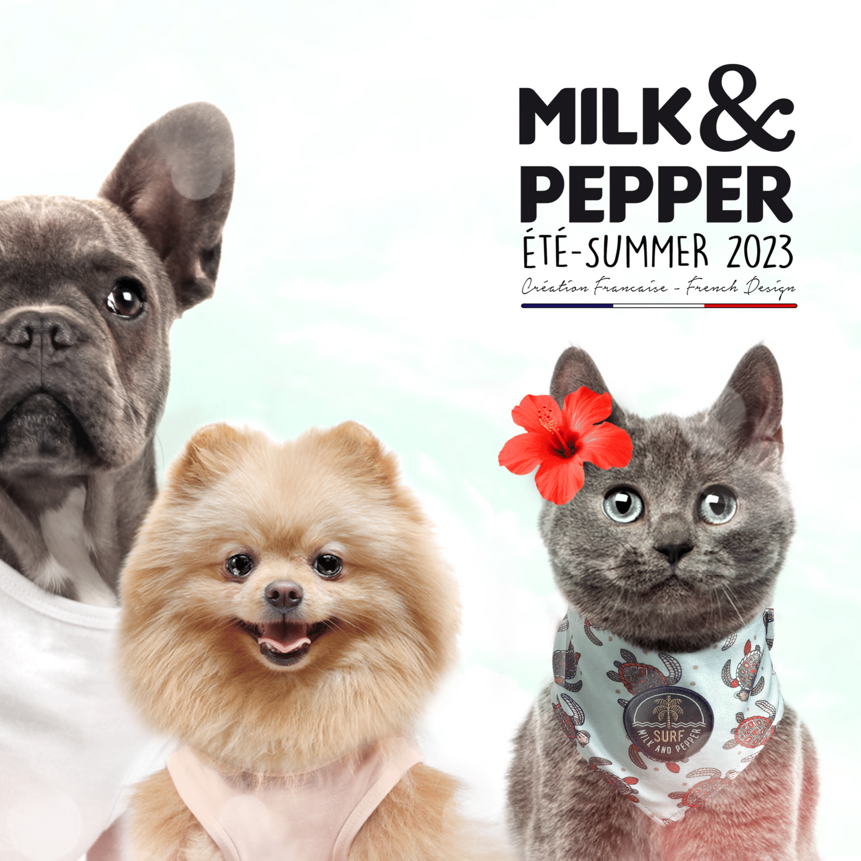 Printemps - Eté 2023 pour chiens - Collection Milk and Pepper