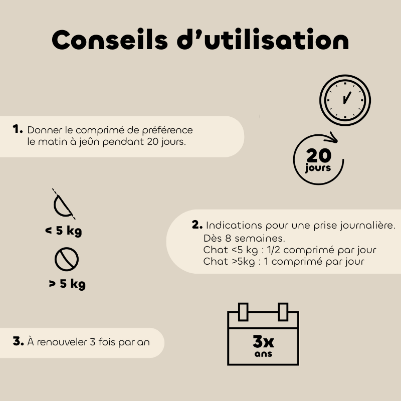 Comprimés MOBIL'ACTIV chat Biovetol