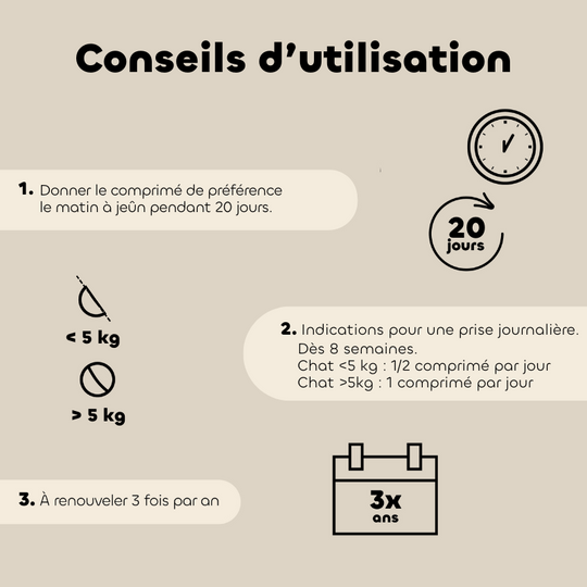 Comprimés MOBIL'ACTIV chat Biovetol