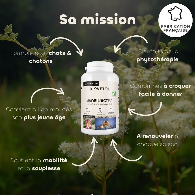 Comprimés MOBIL'ACTIV chat Biovetol