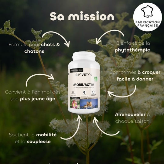 Comprimés MOBIL'ACTIV chat Biovetol