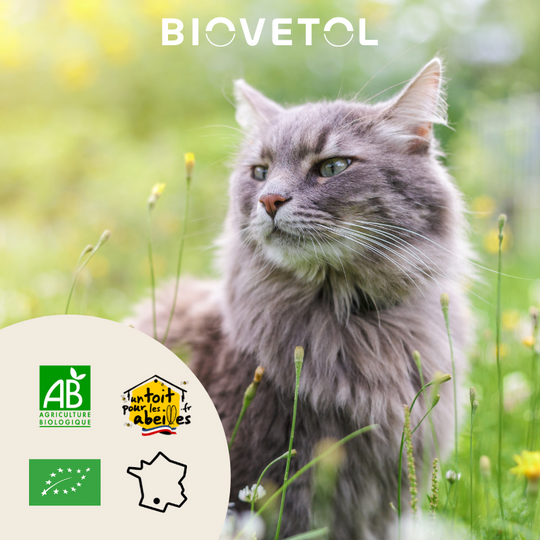 Comprimés MOBIL'ACTIV chat Biovetol