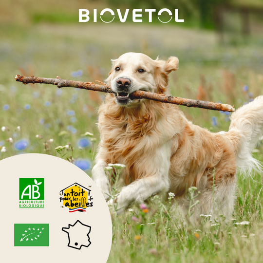 Comprimés MOBIL'ACTIV chien - Biovetol
