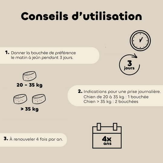 Bouchées ALT'VERS vermifuge grand chien - Biovetol
