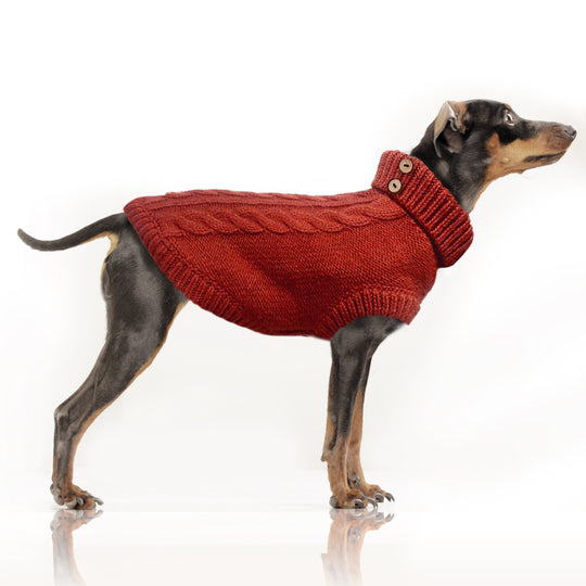 Pull torsade Duncan pour chien -  Milk&Pepper