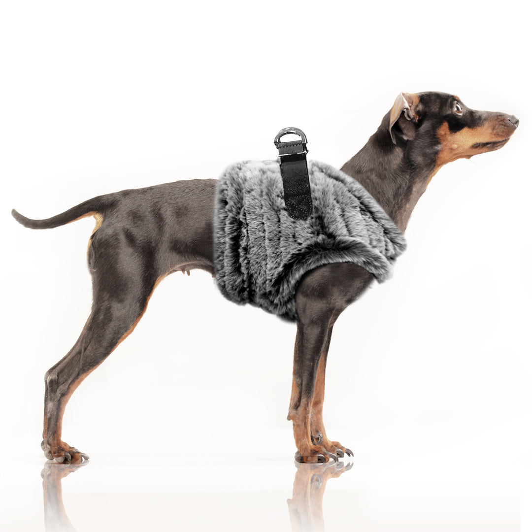 Harnais pour chiens - Collection JOSEF - automne hiver 2024