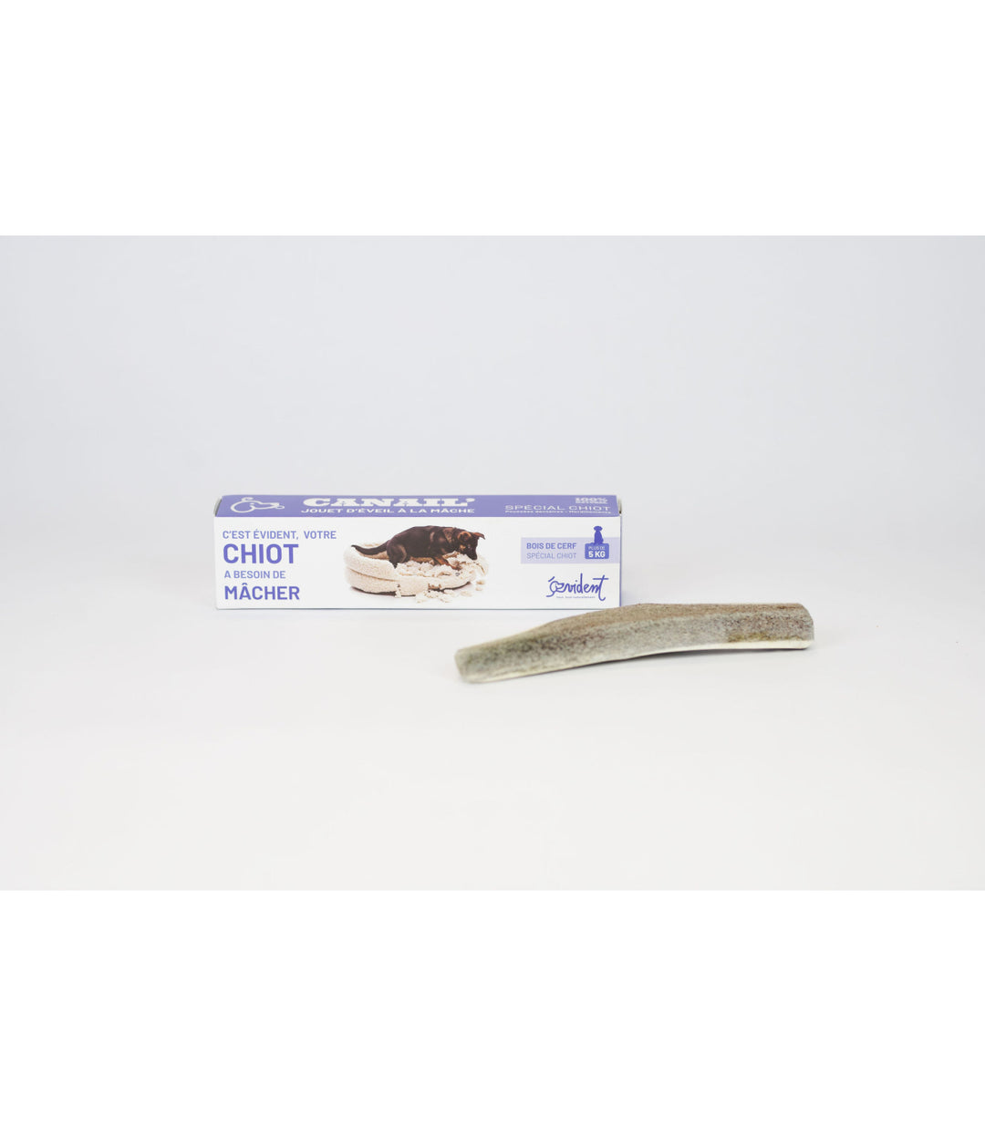 Bois de cerf biseau spécial chiot - Weltcroc Evident