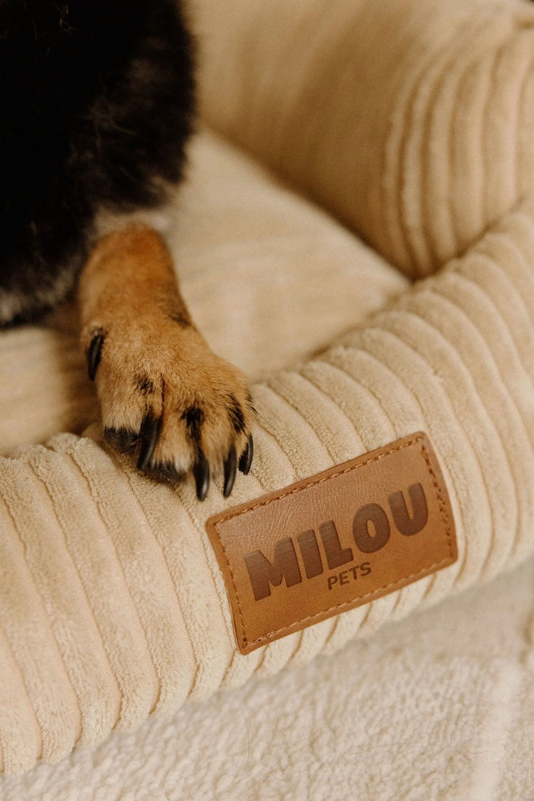 Canapé panier chiens - Milou pets