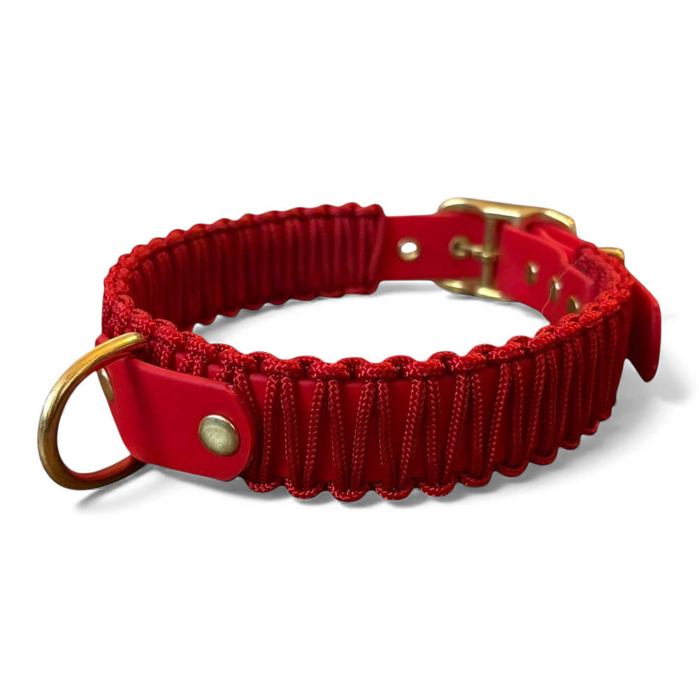 Collier chien - biothane - laiton - paracorde - PLI PARIS