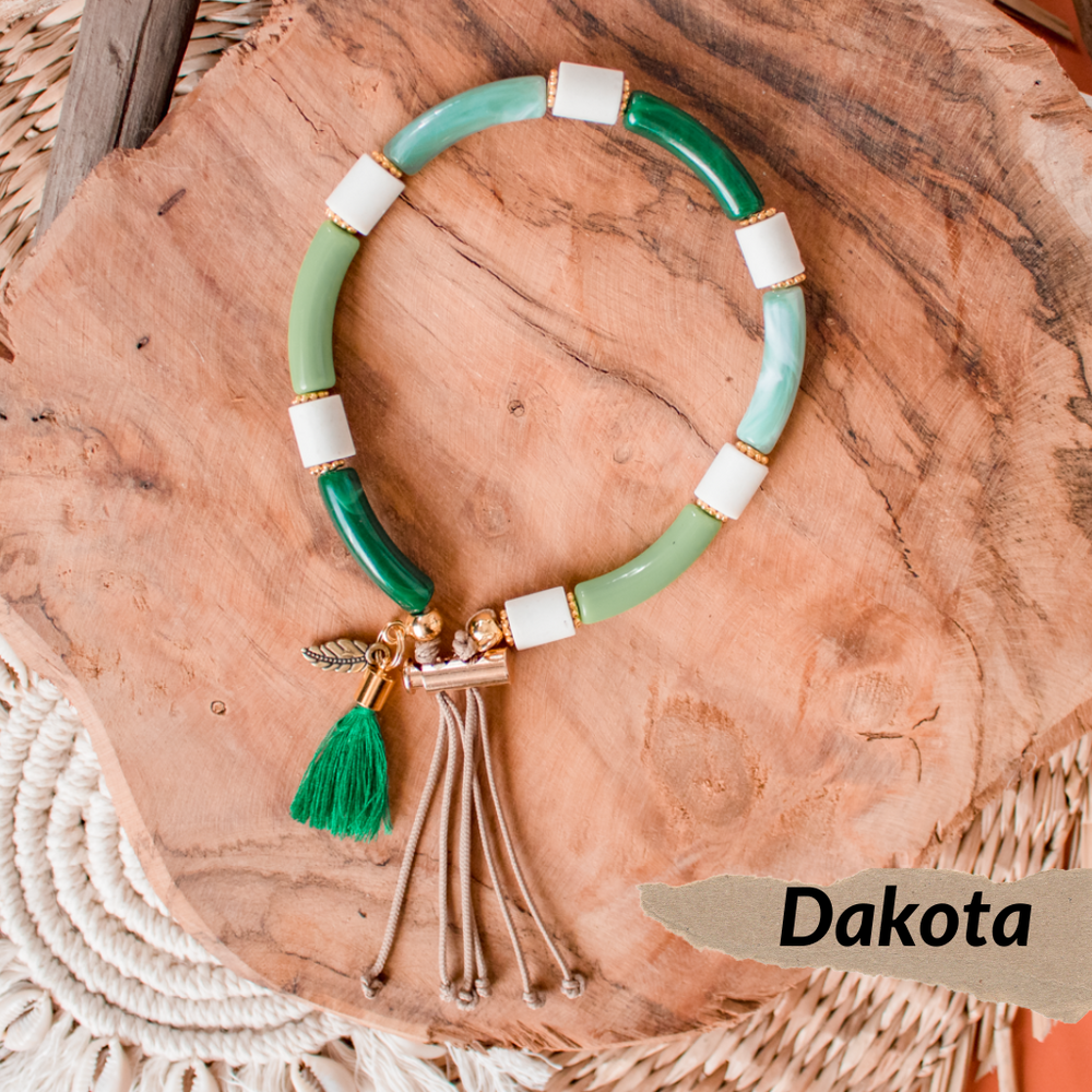 collier bijoux pour chiens porte medaille dakota