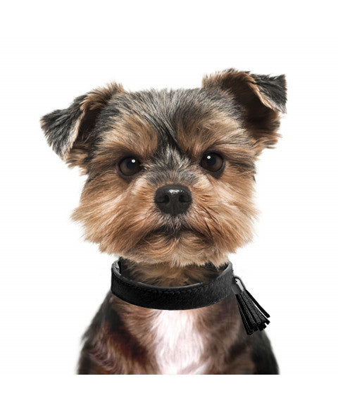 colliers pour chien en cuir noir effet poilu