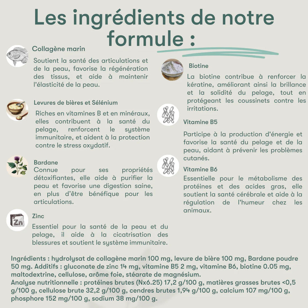 Pelage coussinets chiens et chats - ELEMENT vet
