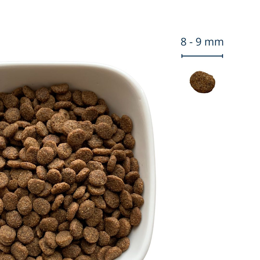 Croquettes chat sans gluten riche en poulet frais - JOPY