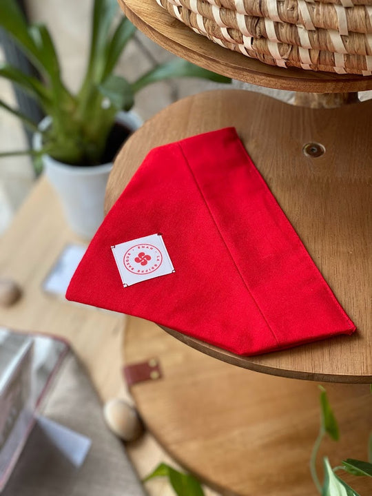 foulard des fetes de bayonne pour chiens en taille M