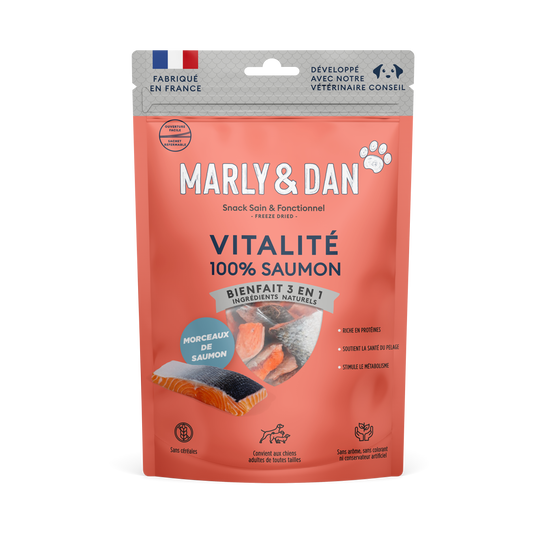 Freeze dried vitalité chien saumon
