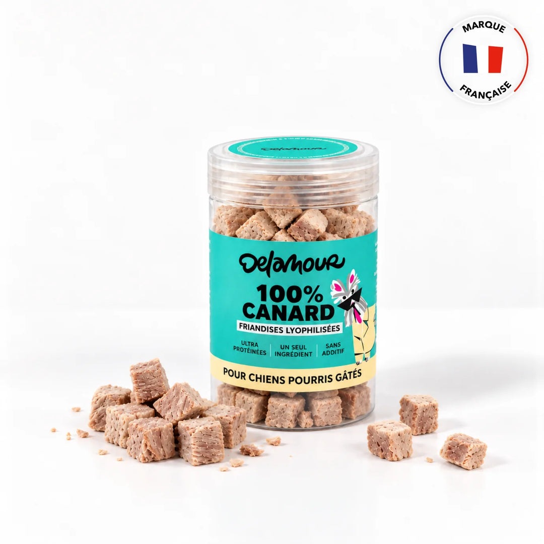 Friandises chiens et chats - lyophilisées - Delamour