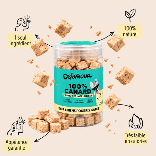 Friandises chiens et chats - lyophilisées - Delamour