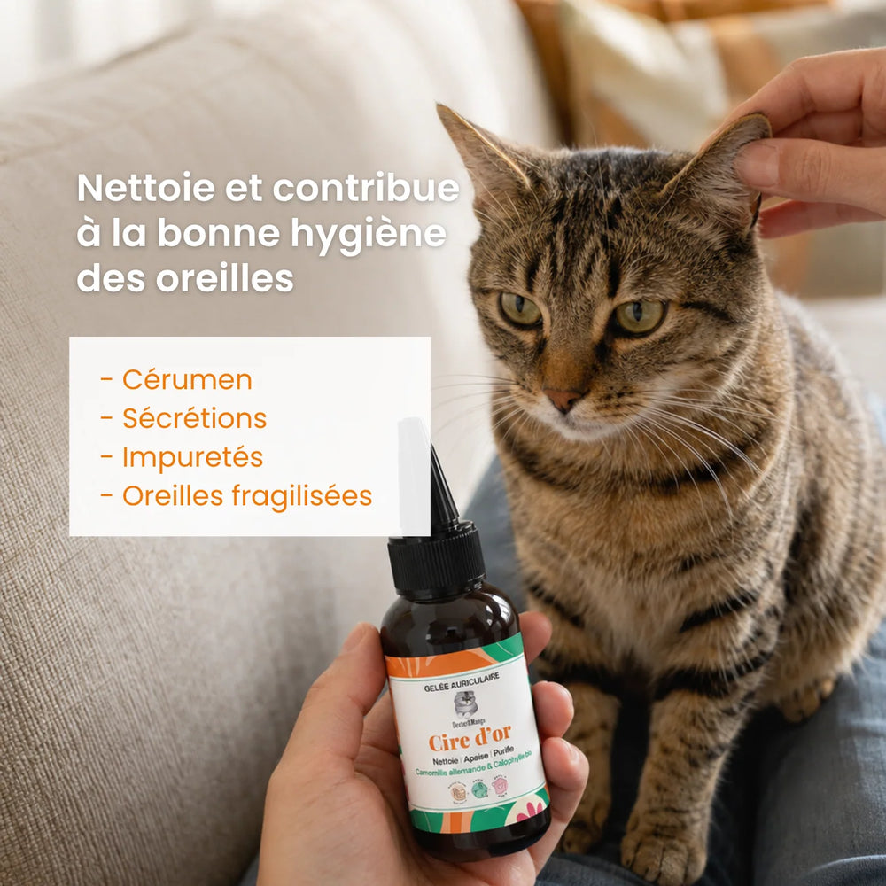 Gelée nettoyante Cire d'or - oreilles chats- Dexter & Mango