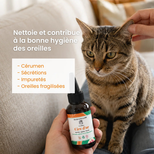 Gelée nettoyante Cire d'or - oreilles chats- Dexter & Mango
