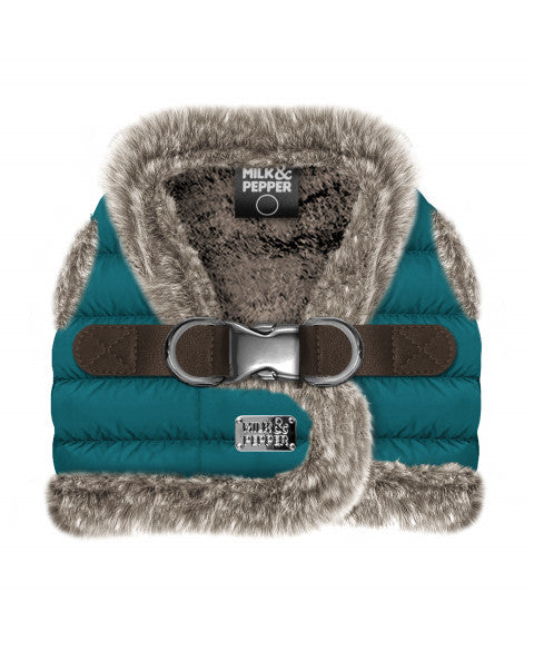 Harnais pour chiens - Collection DAMON - automne hiver 2025