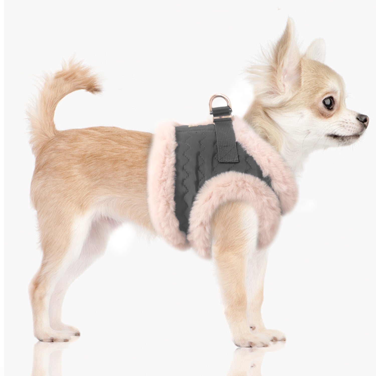 Harnais pour chiens - Collection ELEONORE - automne hiver 2023 – BABINE  Concept-Store