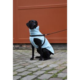 Manteau imperméable néoprène Tom Chiens - Bobby