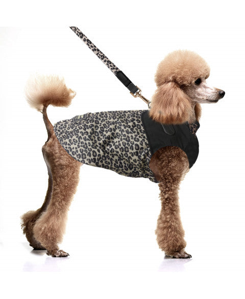 Imperméable harnais intégré Hawa léopard Chiens - Milk & Pepper