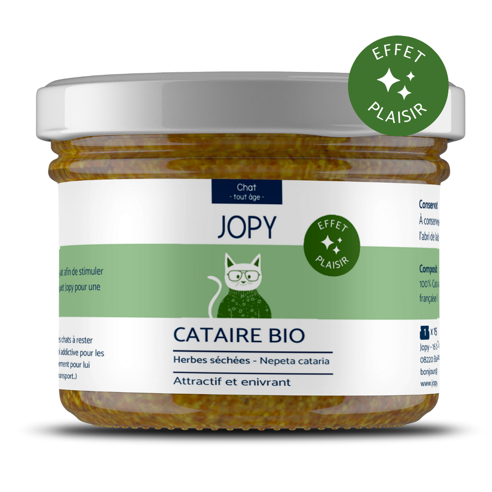 Cataire séchée naturelle pour chats - bocal verre - Jopy