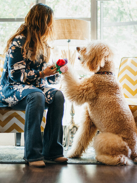 Jouet chiens love bouquet fleurs - Inooko