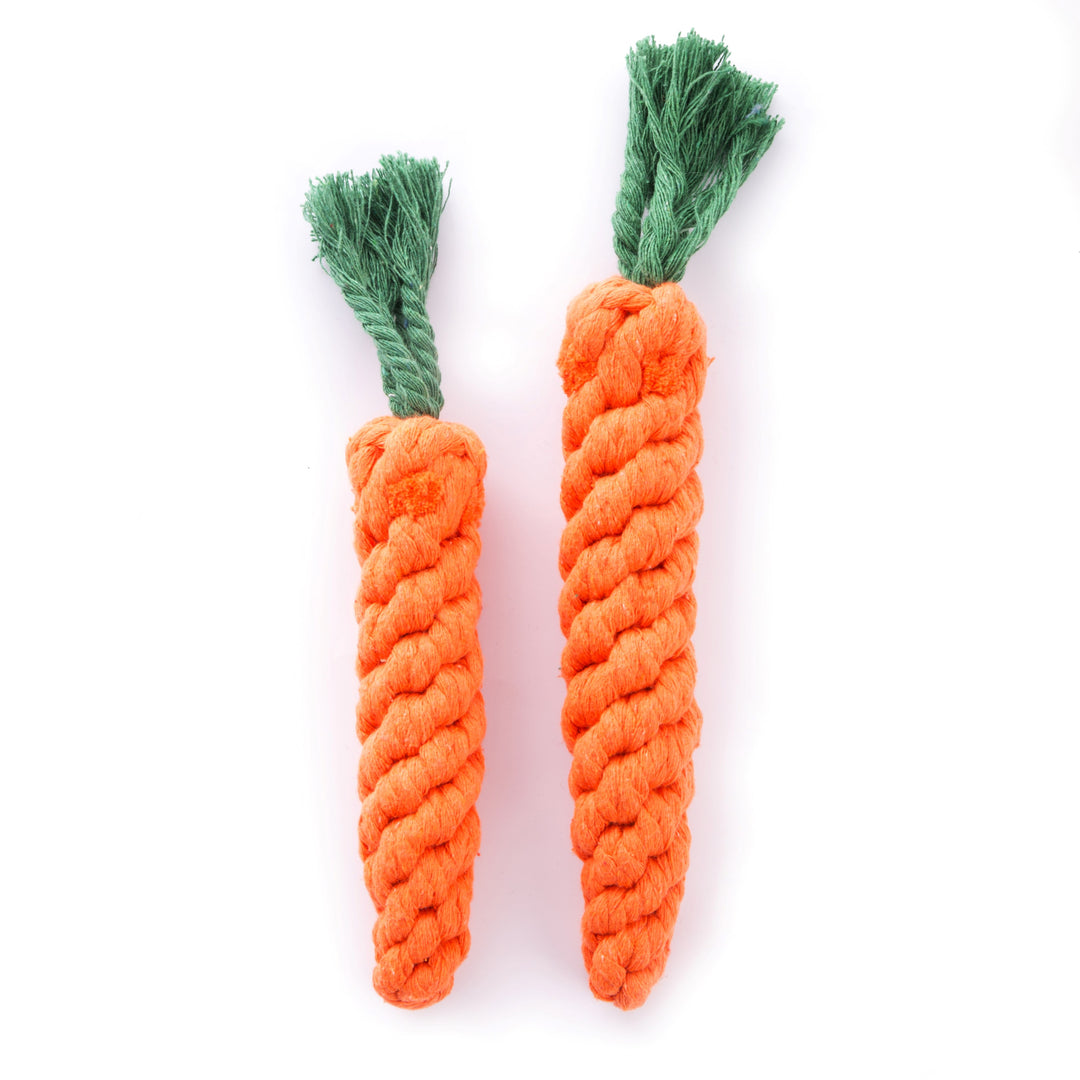 jouet pour chiens en forme de carottes 2 tailles