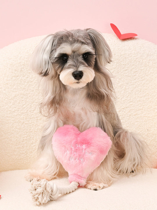 Jouet chiens love ballon cœur et corde  - Inooko