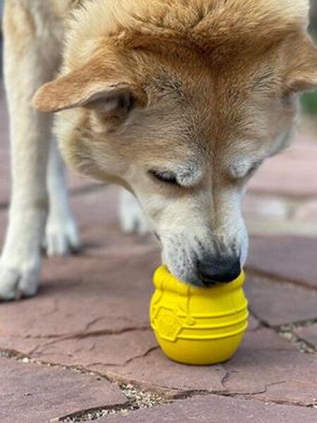 jouet d'occupation pour chiens en forme de pot de miel