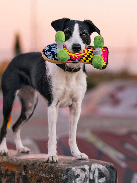 Jouet pour chiens - Skateboard - années 90 - Inooko