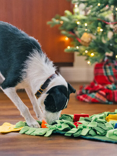 Boutique de Noël pour chien et chat inooko - Nos idées cadeaux