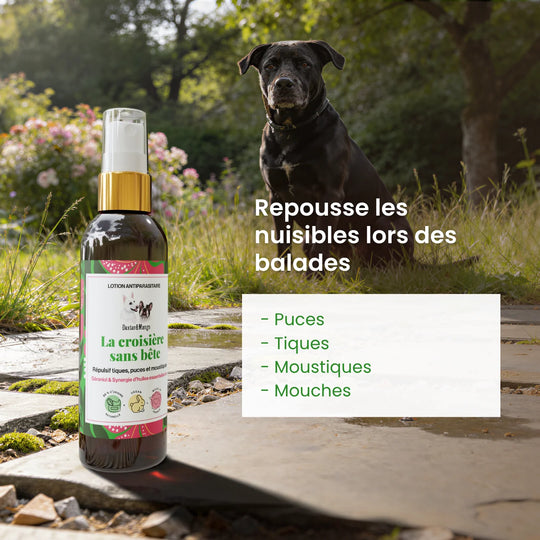 Lotion antiparasitaire croisière sans bête - chien - Dexter Mango