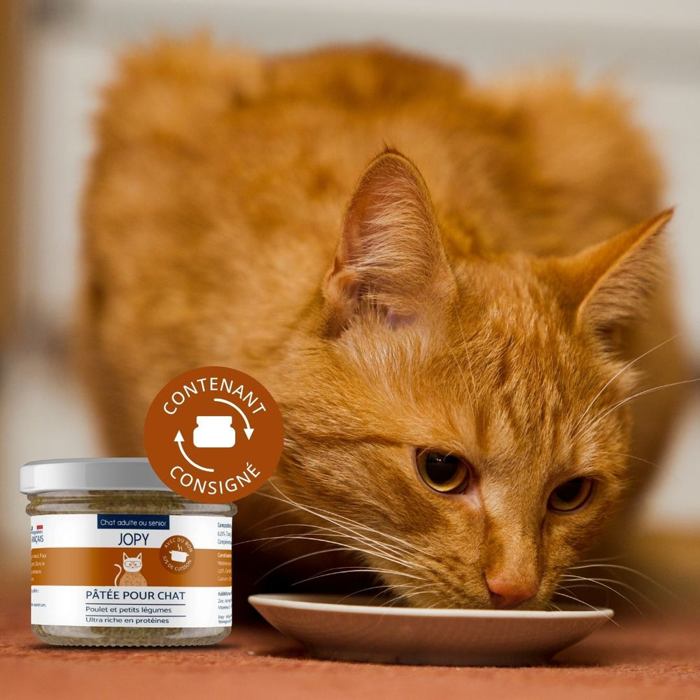 Pâtée pour chat stérilisé poulet sans céréales JOPY