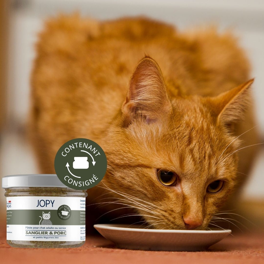 Pâtée pour chat stérilisé sanglier porc sans gluten JOPY