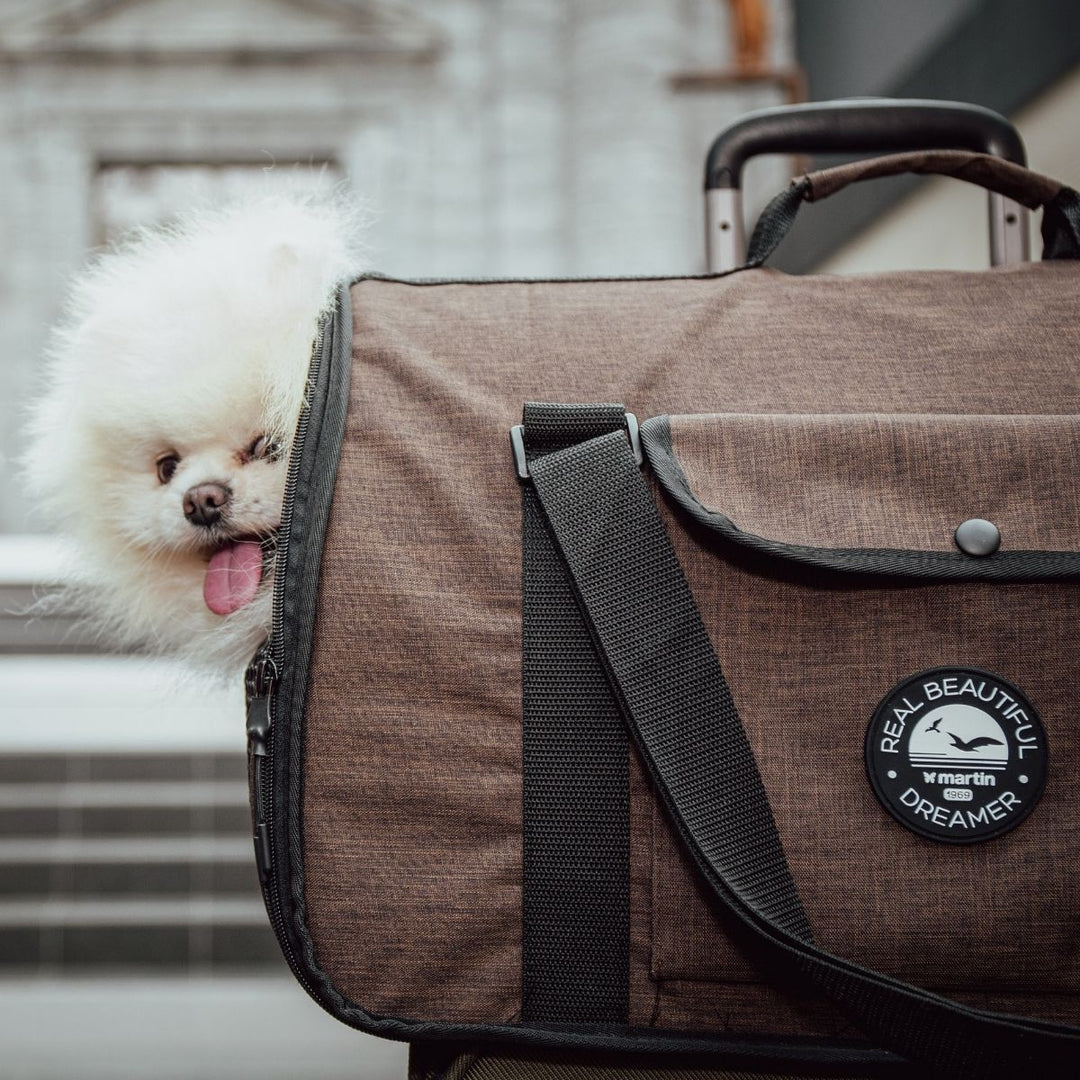 Sac tunnel chien chat -  Real Dream -MARTIN SELLIER