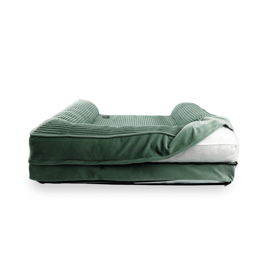 sofa canapé pour chiens vert velours déhoussable
