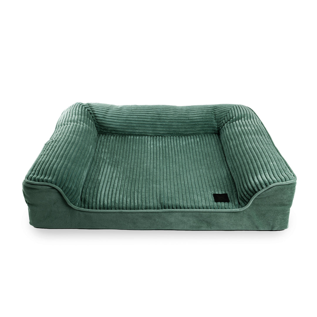sofa haut de gamme chien velours vert