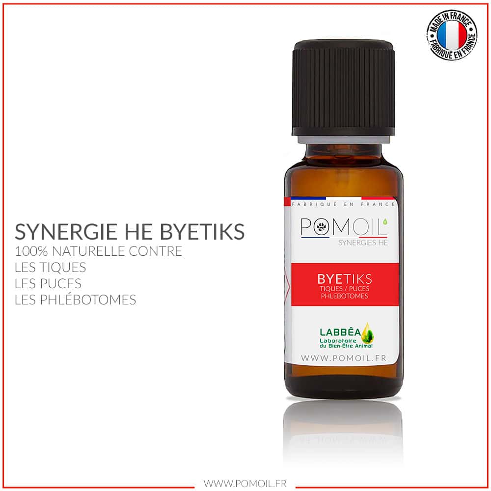 synergie huiles essentielles répulsives puces et tiques pour chiens