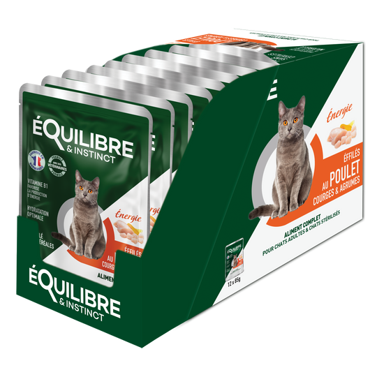 Boîte d’Effilé "Energie" pour chat 😺 au poulet, courges et agrumes 🍗🍊 - Equilibre & Instinct